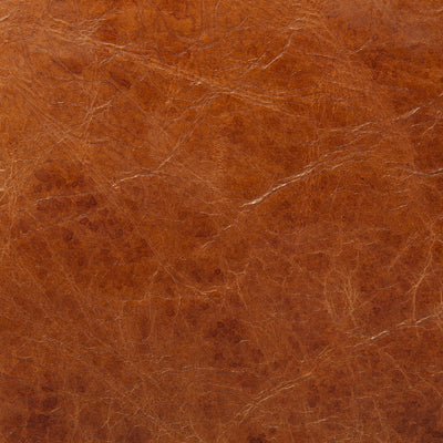 product image for Hornet Leather Accent Chair Mercana Mer 67602 20 34