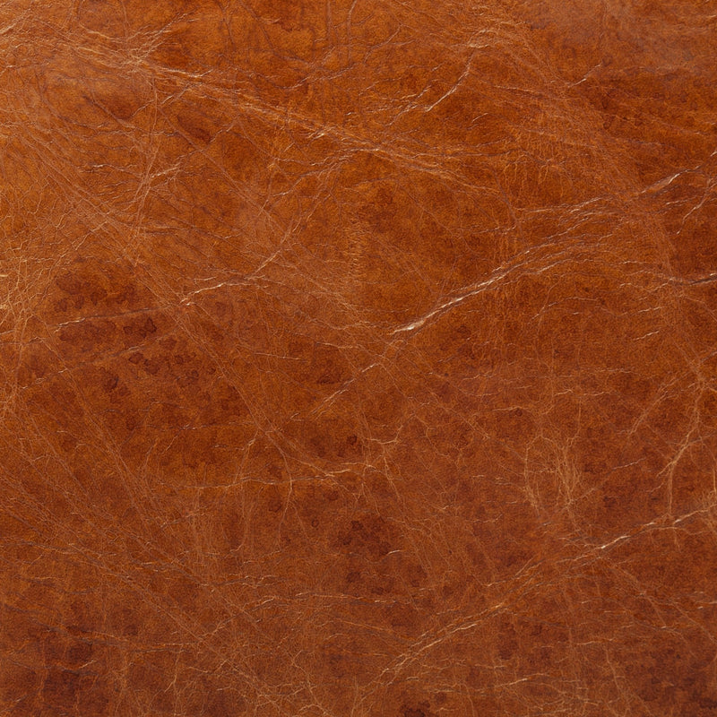 media image for Hornet Leather Accent Chair Mercana Mer 67602 20 281