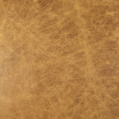 product image for Armelle Leather Accent Chair Mercana Mer 67083 15 34