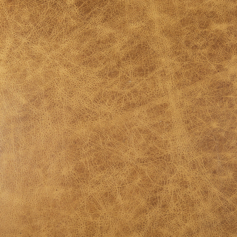 media image for Armelle Leather Accent Chair Mercana Mer 67083 15 284