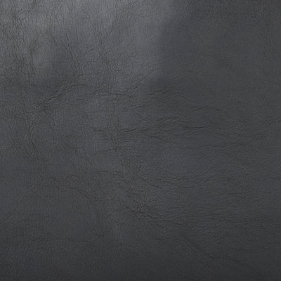 product image for Elodie Leather Accent Chair Mercana Mer 69628 20 28