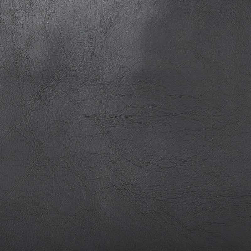 media image for Elodie Leather Accent Chair Mercana Mer 69628 20 281