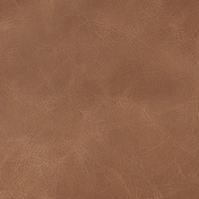 product image for Raeleigh Leather Accent Chair Mercana Mer 69989 24 70