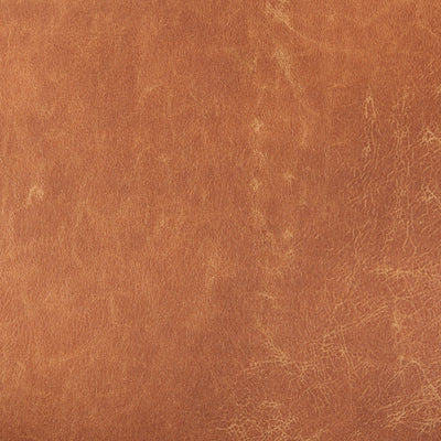 product image for Ashton Leather Accent Chair Mercana Mer 69821 33 67