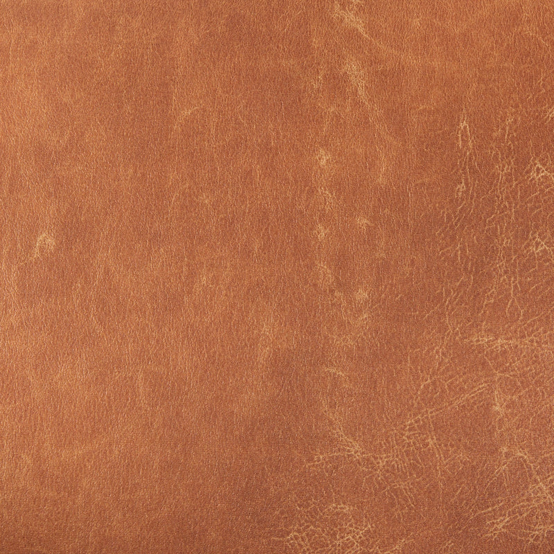 media image for Ashton Leather Accent Chair Mercana Mer 69821 33 268