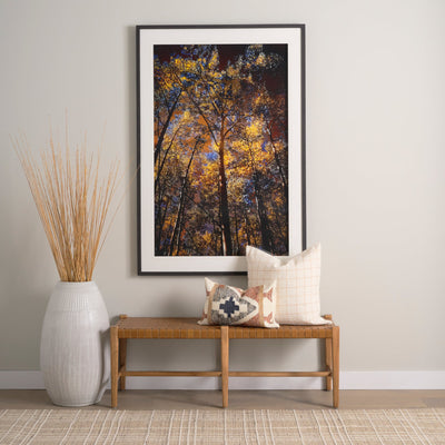 product image for Shane Bench Mercana Mer 70801 20 80