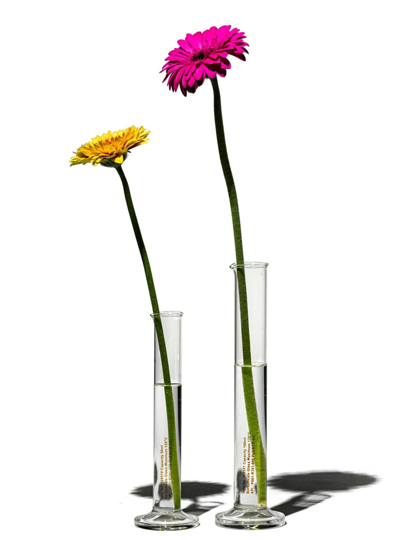 media image for single flower vase 4 224