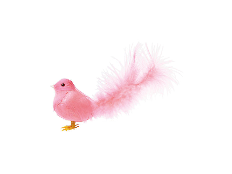 media image for pipi pink 1 220