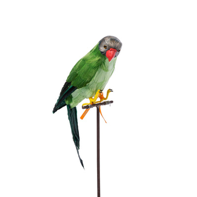 product image for green parrot design by puebco 2 88