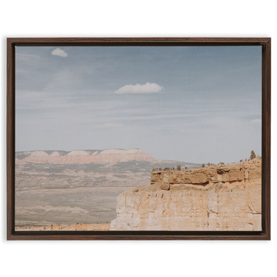 product image for Grand Canyon Framed Canvas 55