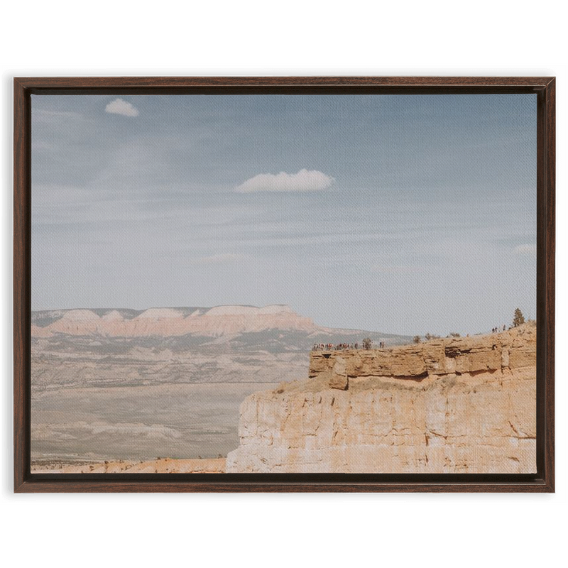 media image for Grand Canyon Framed Canvas 287