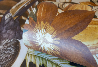 product image for Palau Peanut Wallpaper from the Tropical Collection by Galerie Wallcoverings 0