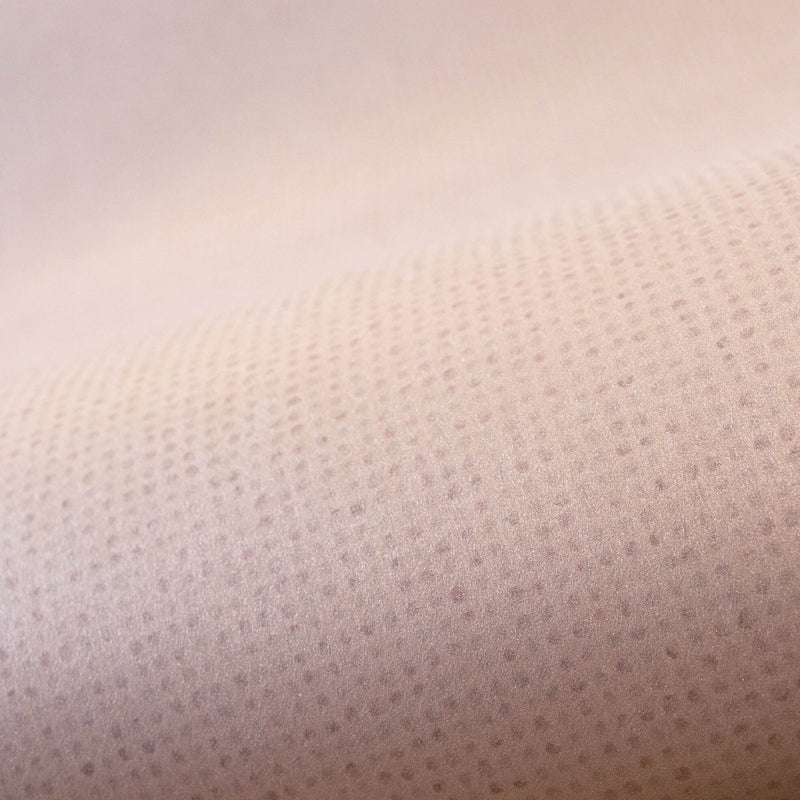 media image for Mini Dots Rose Wallpaper from the Great Kids Collection by Galerie Wallcoverings 215