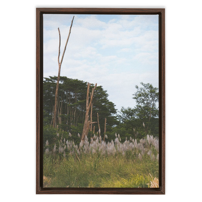 product image for Meadow Framed Canvas 40