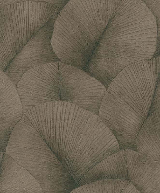 media image for Sample Palm Leaf Wallpaper in Brown/Gold 299
