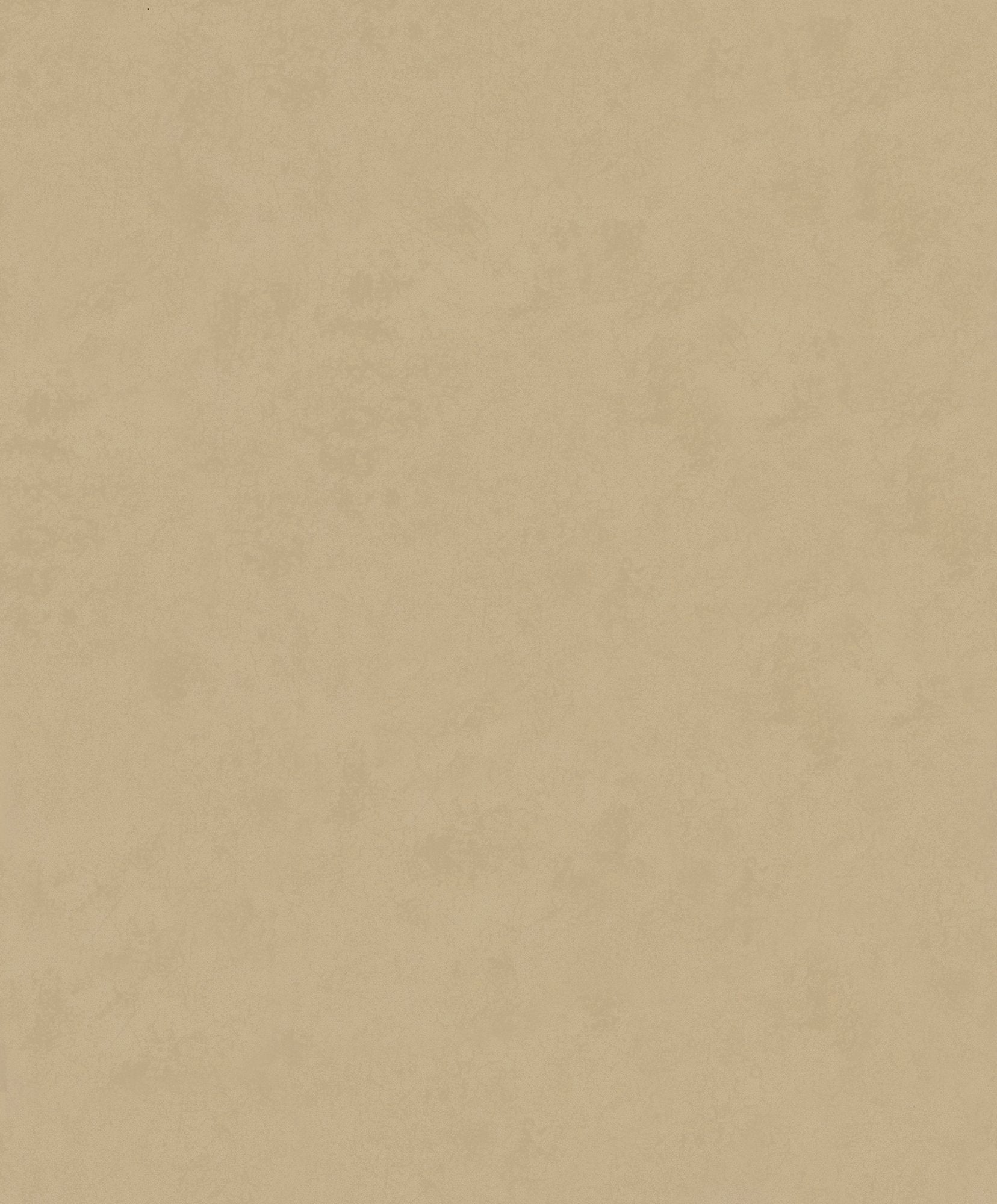 Shop Terra Uni Plain Texture Wallpaper in Beige | Burke Decor