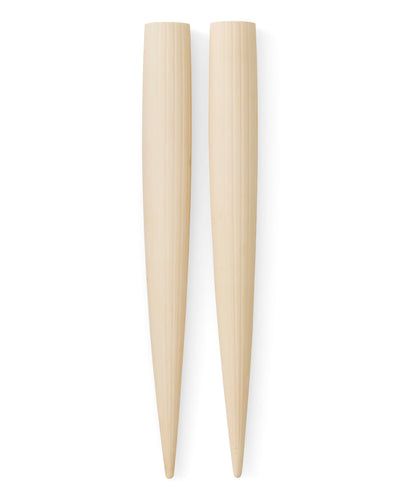 product image for Hydrous Watering Stick Audo Copenhagen 71187 000741 1 19