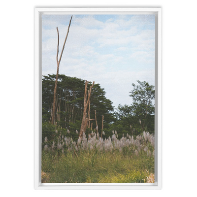 product image for Meadow Framed Canvas 0