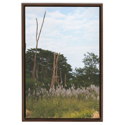 product image for Meadow Framed Canvas 24