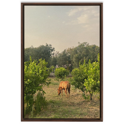 product image for Sicilian Farm Framed Canvas 73