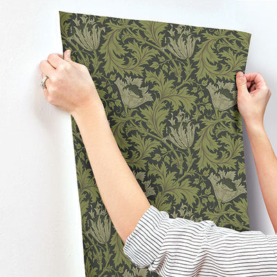 product image for Anemone Dark Green Floral Trail Wallpaper 53