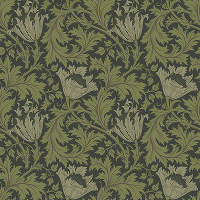 product image of Anemone Dark Green Floral Trail Wallpaper 511