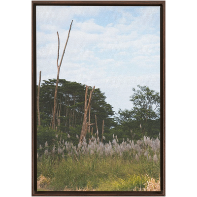 product image for Meadow Framed Canvas 22