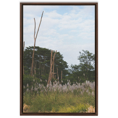 product image for Meadow Framed Canvas 30