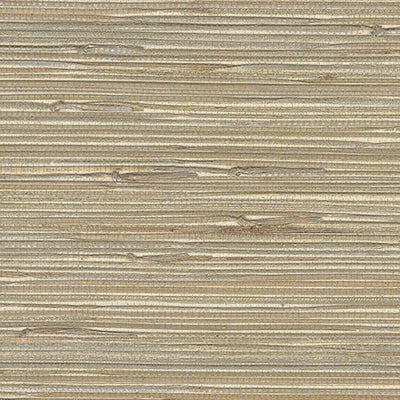 product image of Grasscloth Exotic Grasses Glazed Wallpaper in Olive Green/Gold 577