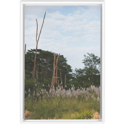 product image for Meadow Framed Canvas 26