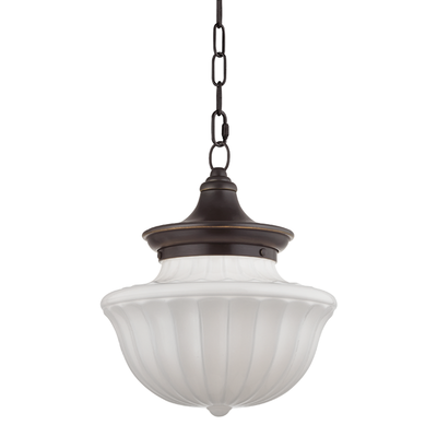 product image for Dutchess 1 Light Medium Pendant by Hudson Valley Lighting 96