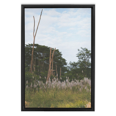 product image for Meadow Framed Canvas 92