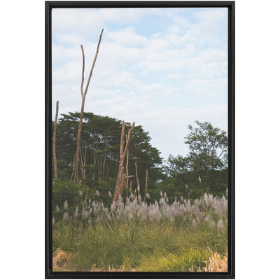 product image for Meadow Framed Canvas 97