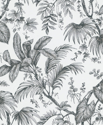 product image of sample palm and foliage wallpaper in white black from the olio collection 1 533