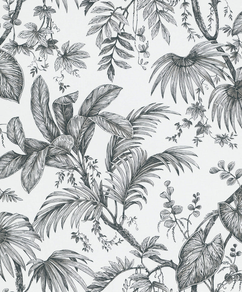 media image for sample palm and foliage wallpaper in white black from the olio collection 1 219