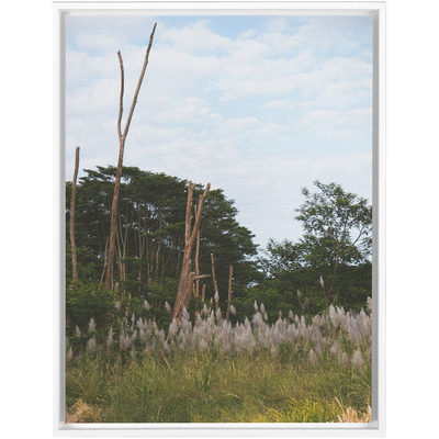 product image for Meadow Framed Canvas 46