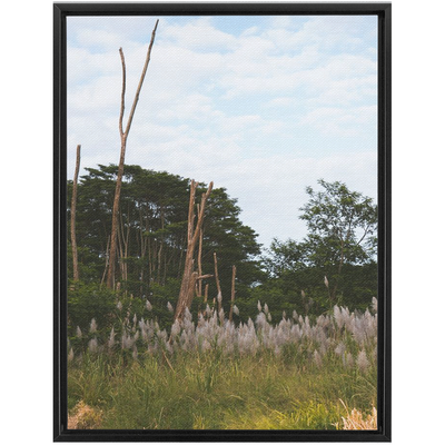 product image for Meadow Framed Canvas 17