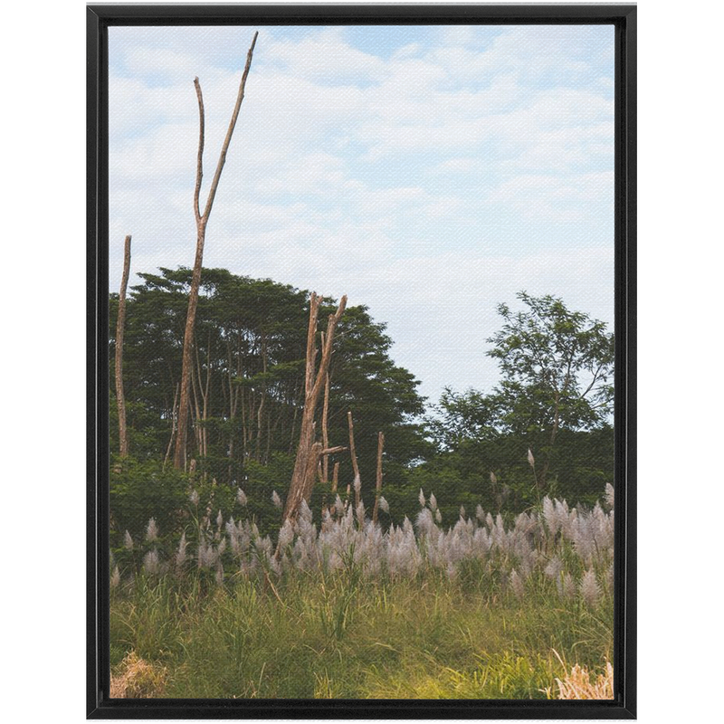 media image for Meadow Framed Canvas 262