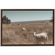 Sea Ranch Framed Canvas