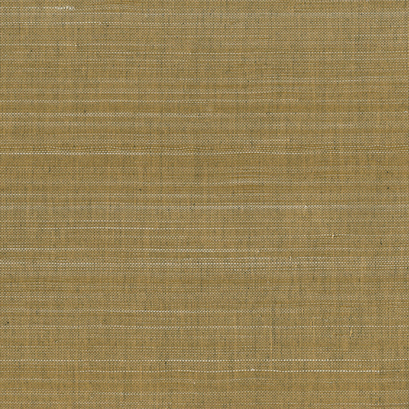 media image for Abaca Fine & Filament Wallpaper in Gold 28