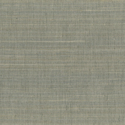product image of Abaca Fine & Filament Wallpaper in Silver 597