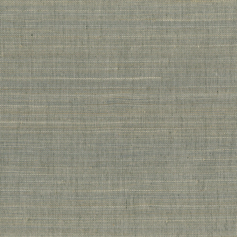 media image for Abaca Fine & Filament Wallpaper in Silver 249