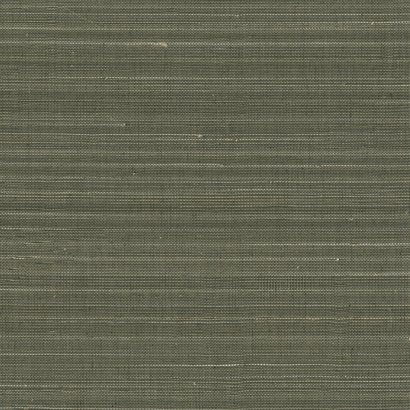 media image for Abaca Fine & Filament Wallpaper in Black/Cream 222