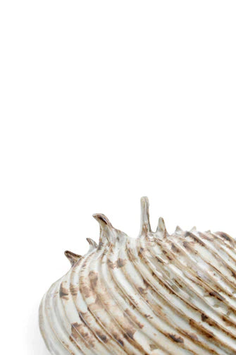 media image for yarnnakarn oceanology channeled clam shell dish 2 275