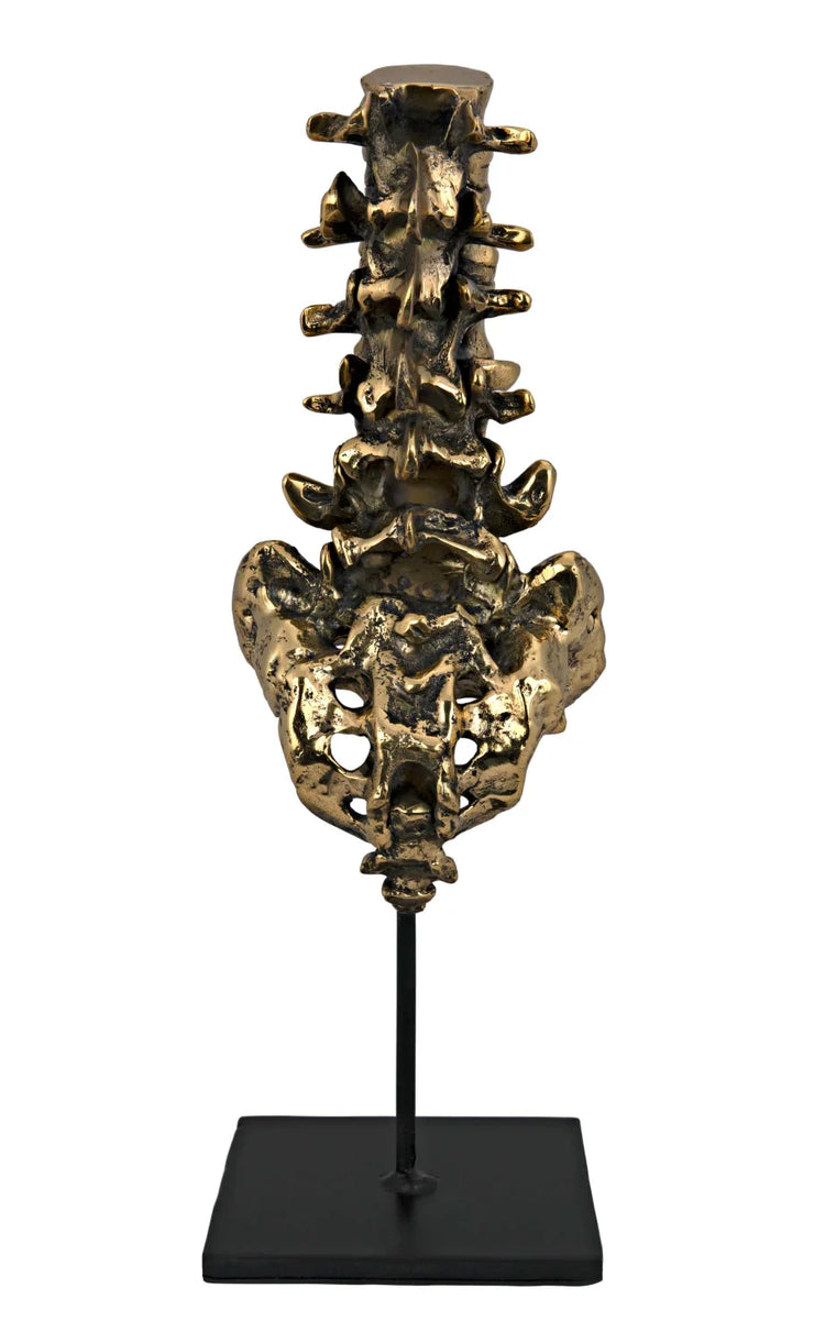 vertebrae sculpture in brass design by noir 1
