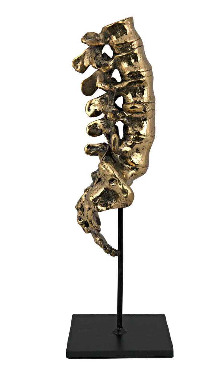 vertebrae sculpture in brass design by noir 3