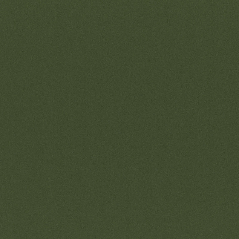media image for Armor Fabric in Green 229