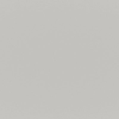 product image of Sample Armor Fabric in Light Grey 589