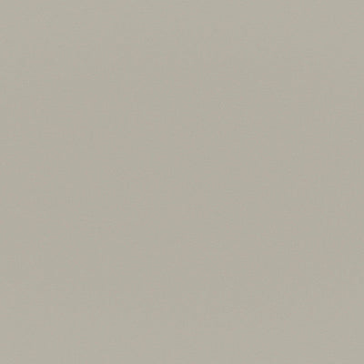 product image for Armor Fabric in Beige/Taupe 14