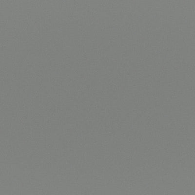 product image of Sample Armor Fabric in Grey 569